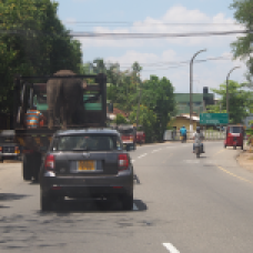 Transport d'éléphant au Sri Lanka