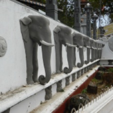 Autour du temple de Matara au Sri Lanka